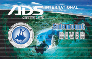 C-CARD